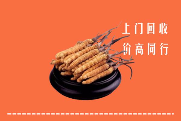 高价求购：敖汉旗回收散虫草